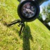 10981 AirMaks Katran L .22 Air-Rifle and Element Optics Helix Scope