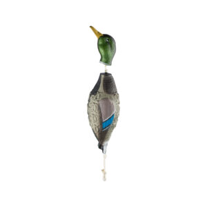 HP and G Training Tool Mallard