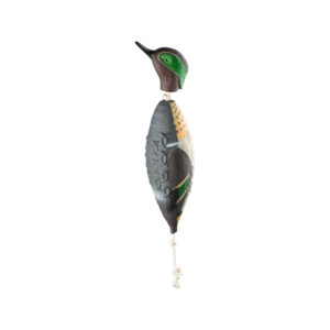 HP and G Training Tool Green Wing Teal